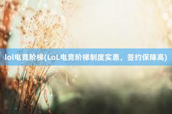 lol电竞阶梯(LoL电竞阶梯制度实惠，签约保障高)