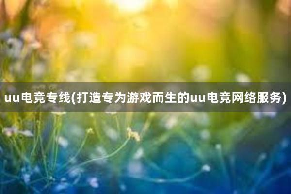 uu电竞专线(打造专为游戏而生的uu电竞网络服务)