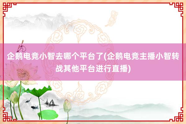 企鹅电竞小智去哪个平台了(企鹅电竞主播小智转战其他平台进行直播)