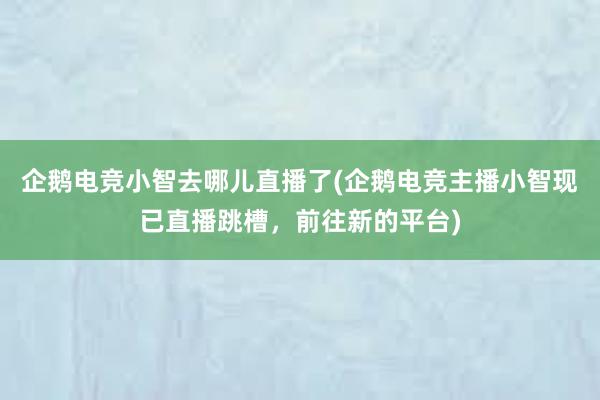 企鹅电竞小智去哪儿直播了(企鹅电竞主播小智现已直播跳槽，前往新的平台)