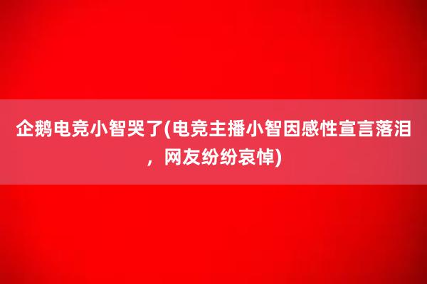 企鹅电竞小智哭了(电竞主播小智因感性宣言落泪，网友纷纷哀悼)