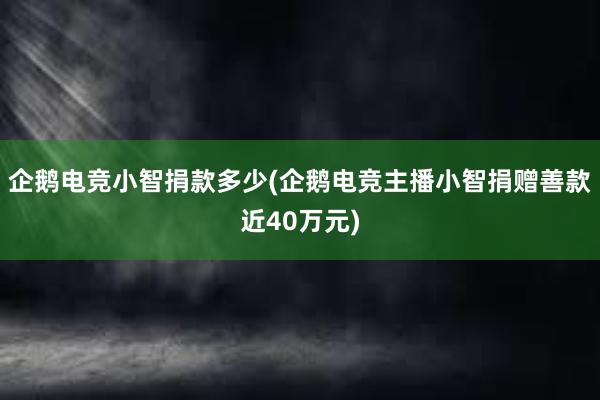 企鹅电竞小智捐款多少(企鹅电竞主播小智捐赠善款近40万元)