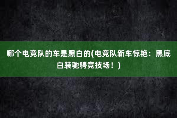 哪个电竞队的车是黑白的(电竞队新车惊艳：黑底白装驰骋竞技场！)