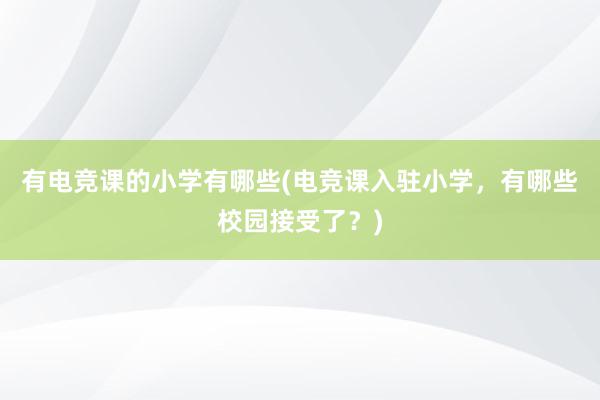 有电竞课的小学有哪些(电竞课入驻小学，有哪些校园接受了？)