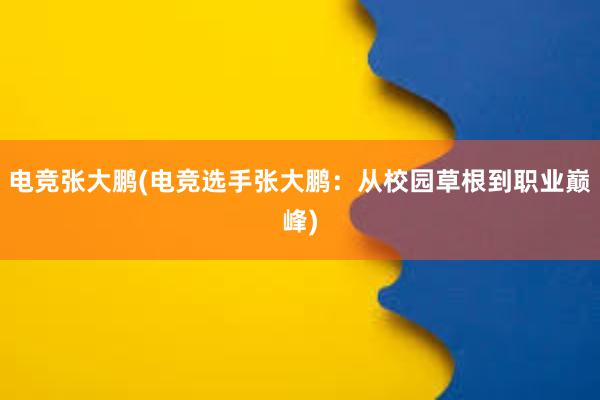 电竞张大鹏(电竞选手张大鹏：从校园草根到职业巅峰)