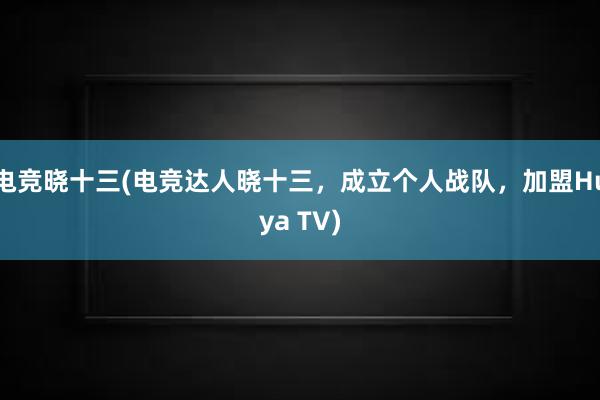 电竞晓十三(电竞达人晓十三，成立个人战队，加盟Huya TV)