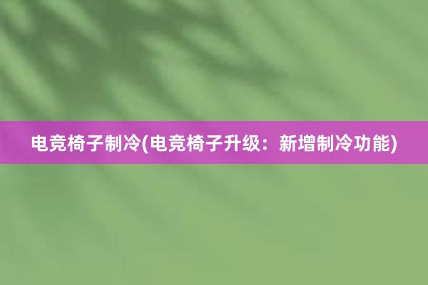 电竞椅子制冷(电竞椅子升级：新增制冷功能)