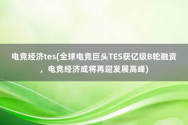 电竞经济tes(全球电竞巨头TES获亿级B轮融资，电竞经济或将再迎发展高峰)