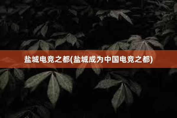 盐城电竞之都(盐城成为中国电竞之都)