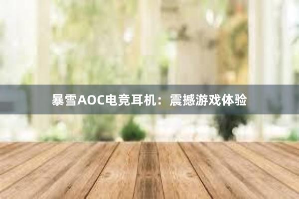 暴雪AOC电竞耳机：震撼游戏体验