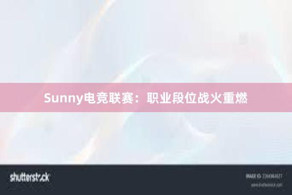 Sunny电竞联赛：职业段位战火重燃