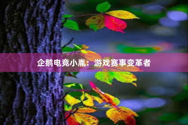 企鹅电竞小胤：游戏赛事变革者