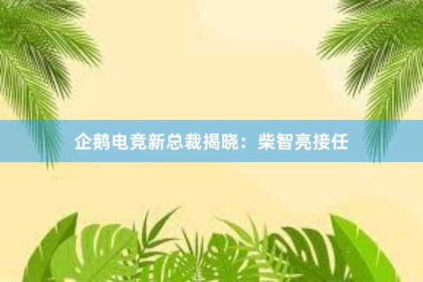 企鹅电竞新总裁揭晓：柴智亮接任