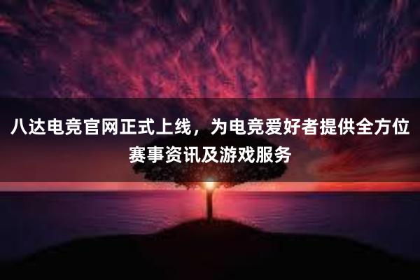 八达电竞官网正式上线，为电竞爱好者提供全方位赛事资讯及游戏服务