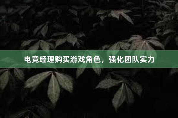 电竞经理购买游戏角色，强化团队实力