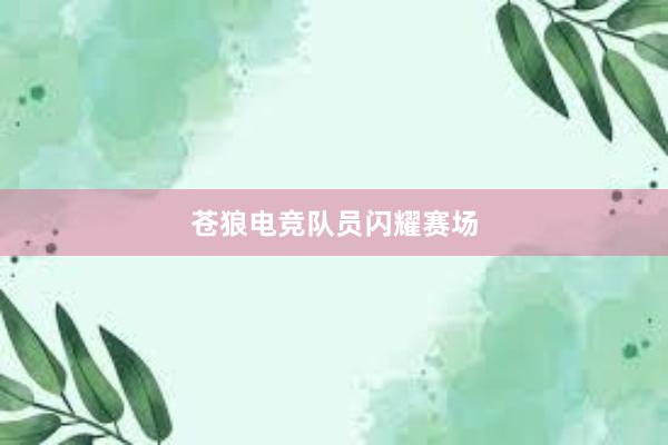 苍狼电竞队员闪耀赛场