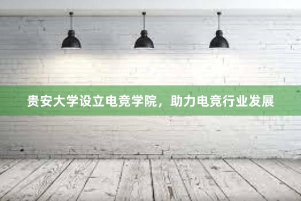 贵安大学设立电竞学院，助力电竞行业发展